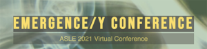 Emergence/Y Conference banner