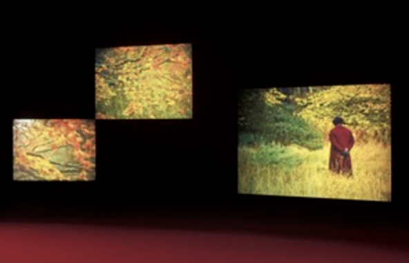 Isaac Julien, I Dream a World, set of 3 images